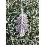 FOTO FATTE CON QUESTO TELEFONO