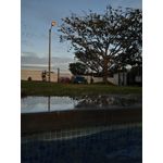 PICTURES FROM THIS PHONE