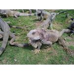 PICTURES FROM THIS PHONE