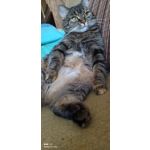 用户照片 Redmi 9T