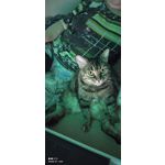 用户照片 Redmi 9T