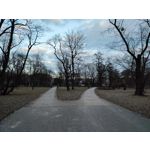 Imágenes de los usuarios Redmi Note 10 Pro