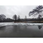 Imágenes de los usuarios Redmi Note 10 Pro