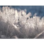 Imágenes de los usuarios Redmi Note 10 Pro