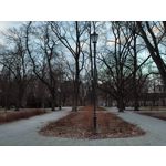 Imágenes de los usuarios Redmi Note 10 Pro