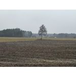 Imágenes de los usuarios Redmi Note 10 Pro