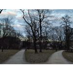 Imágenes de los usuarios Redmi Note 10 Pro