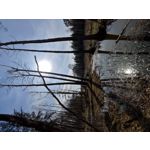 Imágenes de los usuarios Redmi Note 10 Pro