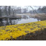 Imágenes de los usuarios Redmi Note 10 Pro