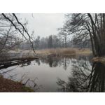 Imágenes de los usuarios Redmi Note 10 Pro