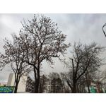 Imágenes de los usuarios Redmi Note 10 Pro