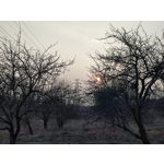 Imágenes de los usuarios Redmi Note 10 Pro