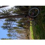 Imágenes de los usuarios Redmi Note 10 Pro