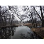 Imágenes de los usuarios Redmi Note 10 Pro