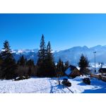 Foto dei utenti Redmi Note 11 Foto dei utenti Redmi Note 11