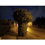 用戶照片 Redmi Note 12 Pro+