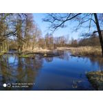 Pictures by this phone Redmi Note 7