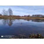 Pictures by this phone Redmi Note 7