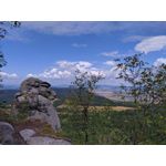 Pictures by this phone Redmi Note 7