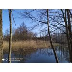 Pictures by this phone Redmi Note 7