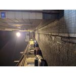 Pictures by this phone Redmi Note 7