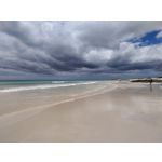 Pictures by this phone Redmi Note 7