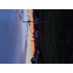 Pictures by this phone Redmi Note 7