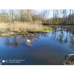 Pictures by this phone Redmi Note 7