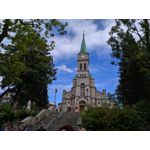 Pictures by this phone Redmi Note 7