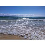 Pictures by this phone Redmi Note 7