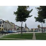 Pictures by this phone Redmi Note 7