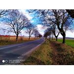 Pictures by this phone Redmi Note 7