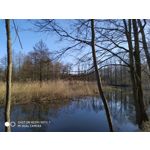 Pictures by this phone Redmi Note 7