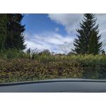 Pictures by this phone Redmi Note 7