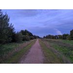 Pictures by this phone Redmi Note 7