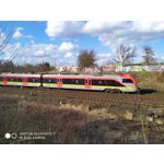 Pictures by this phone Redmi Note 7