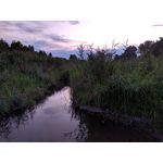 Pictures by this phone Redmi Note 7