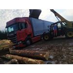 Pictures by this phone Redmi Note 7