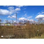 Pictures by this phone Redmi Note 7