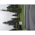 Pictures by this phone Redmi Note 7