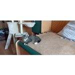 用戶照片 Redmi Note 8 Pro