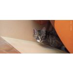 用戶照片 Redmi Note 8 Pro