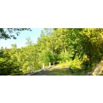 用戶照片 Redmi Note 8 Pro