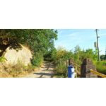 用戶照片 Redmi Note 8 Pro