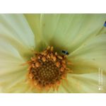 用戶照片 Redmi Note 8 Pro