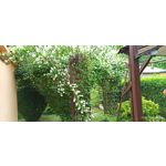 用戶照片 Redmi Note 8 Pro