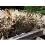 用戶照片 Redmi Note 8 Pro