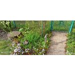 用戶照片 Redmi Note 8 Pro