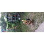 用戶照片 Redmi Note 8 Pro