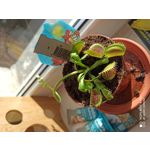 用戶照片 Redmi Note 8 Pro